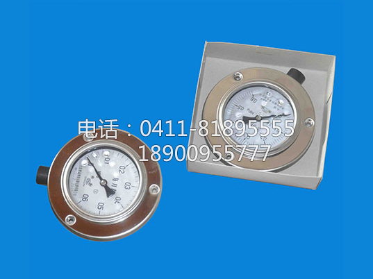 耐震压力表